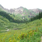 San Moritz Condos - Slopeside Lodging