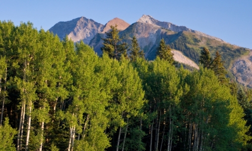 West Elk Wilderness Colorado