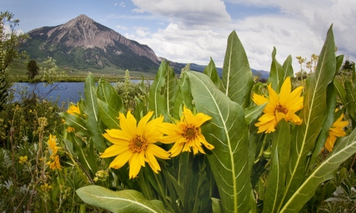 Crested Butte Colorado