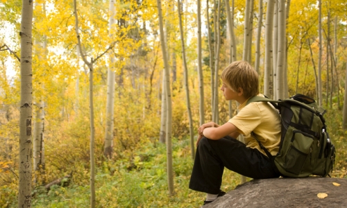 Crested Butte Kids Hiking