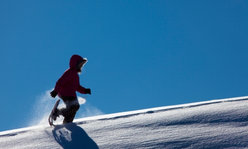 Crested Butte Snowshoeing