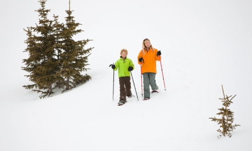 Crested Butte Colorado Snowshoeing