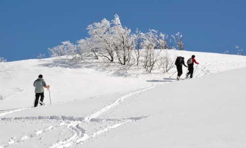 Crested Butte Snowshoe