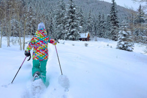 Pioneer Guest Cabins