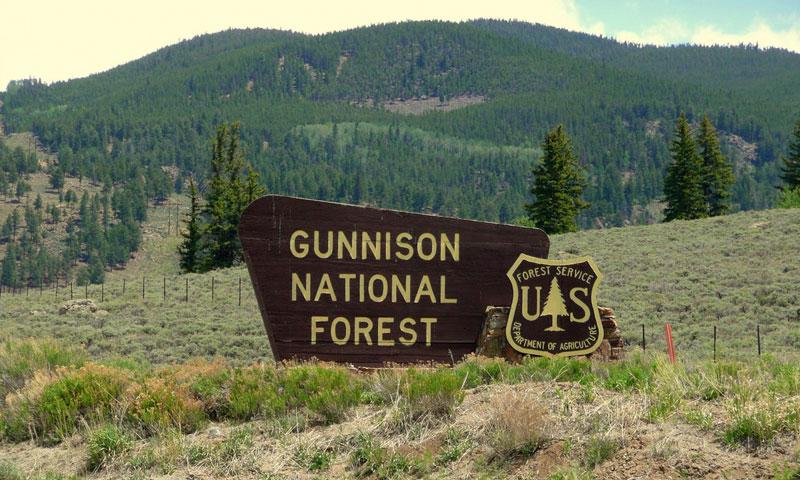 Gunnison National Forest