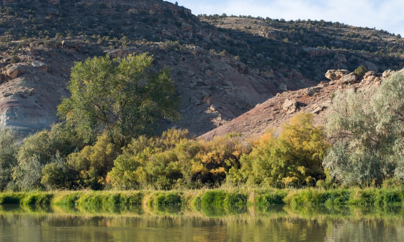 Gunnison River