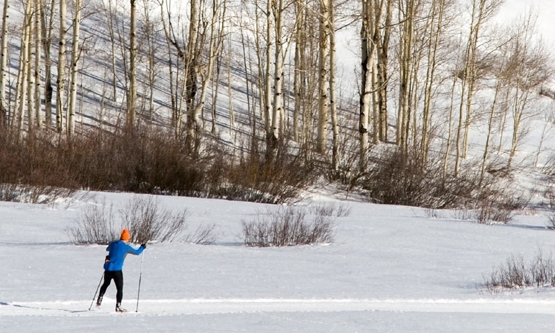 Cross Country Skiing
