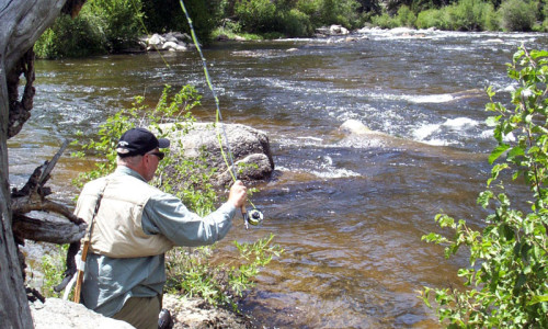 Taylor River