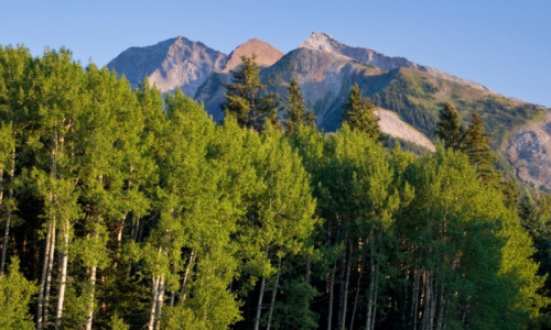 West Elk Wilderness