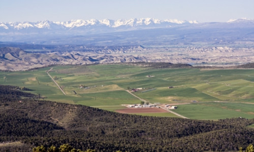 Montrose Colorado