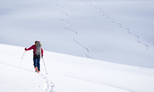 Backcountry Skiing