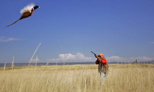 Hunting / Outfitters